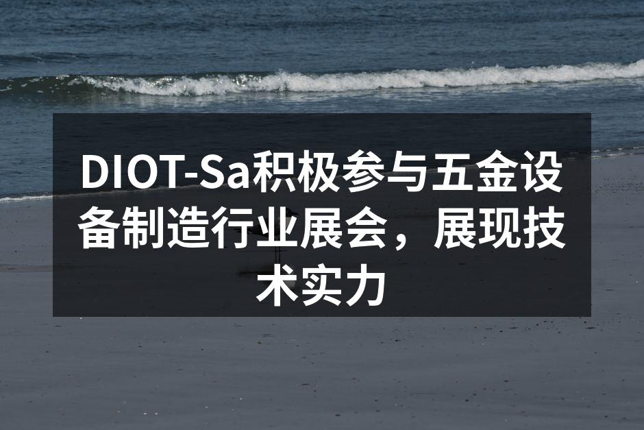 DIOT-Sa展位吸引众多观众